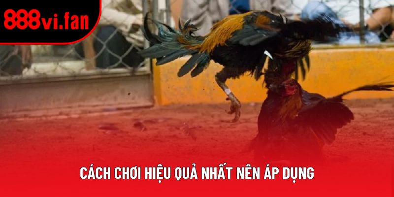 Cách chơi hiệu quả nhất nên áp dụng
