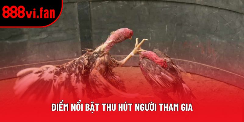 Điểm nổi bật thu hút người tham gia