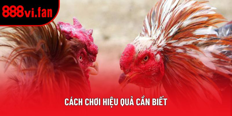 Cách chơi hiệu quả cần biết