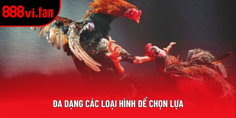 Đa dạng các loại hình để chọn lựa