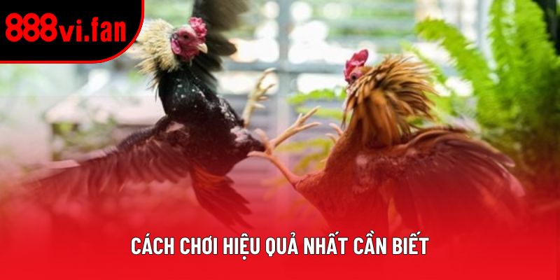 Cách chơi hiệu quả nhất cần biết