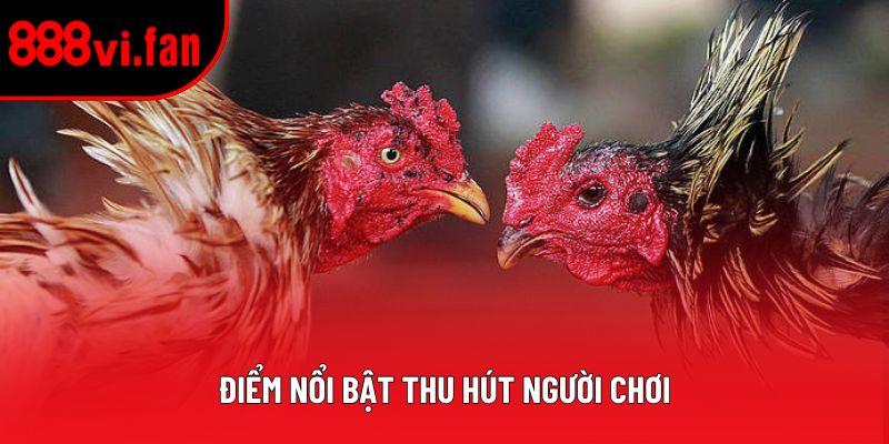 Điểm nổi bật thu hút người chơi